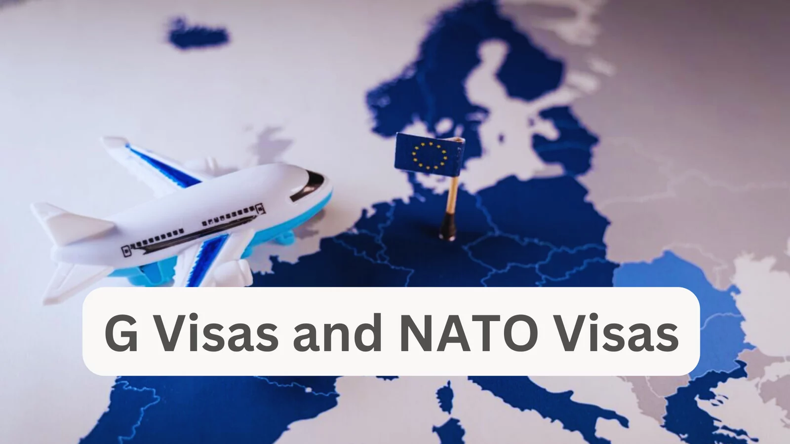 G Visas and NATO Visas