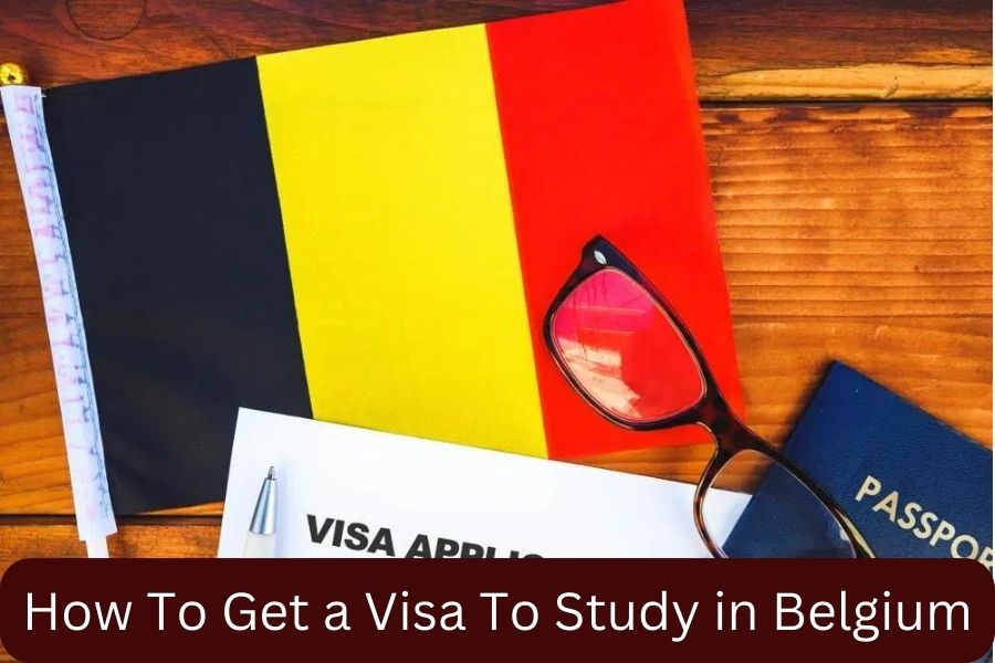 How To Get a Visa To Study in Belgium